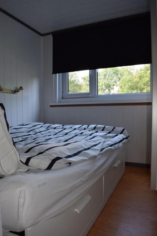 Kleines Haus Mit Garten, Direkt Hinter Dem Deich * Baarland